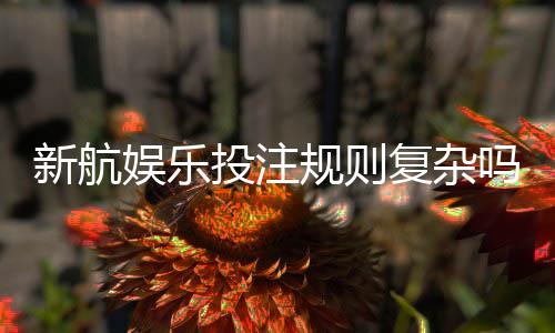 新航娱乐投注规则复杂吗?资深玩家带你快速掌握核心玩法