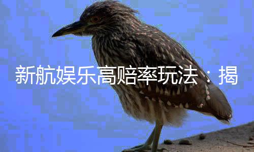 新航娱乐高赔率玩法:揭秘稳赢技巧与高回报策略
