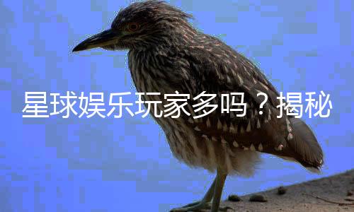 星球娱乐玩家多吗?揭秘平台真实人气与玩家体验
