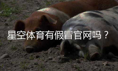 星空体育有假冒官网吗?一文教你识别真伪、查询官方渠道与防骗技巧