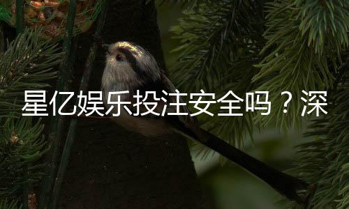 星亿娱乐投注安全吗?深度解析平台资质与玩家真实体验