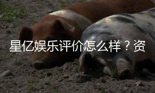 星亿娱乐评价怎么样?资深玩家真实体验分享