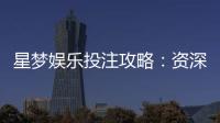 星梦娱乐投注攻略:资深玩家分享实战技巧与稳赢策略