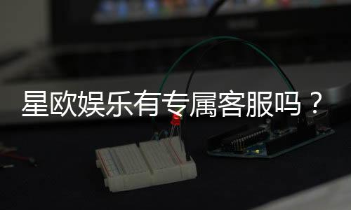 星欧娱乐有专属客服吗?一对一服务体验详解