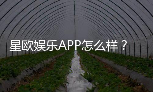 星欧娱乐APP怎么样？资深玩家实测体验与平台特色解析