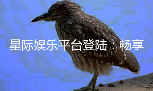 星际娱乐平台登陆:畅享星际之旅的顶级游戏体验