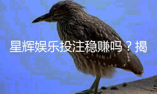 星辉娱乐投注稳赚吗?揭秘稳赚技巧与风险规避策略