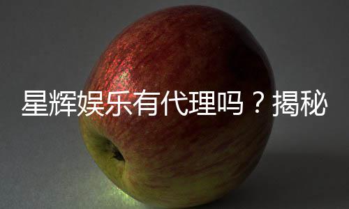 星辉娱乐有代理吗?揭秘代理加盟条件与流程