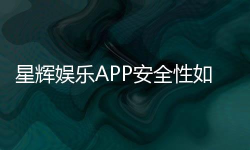 星辉娱乐APP安全性如何?深度测评其资金保障与数据防护