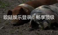欧陆娱乐登录：畅享顶级电子游艺的尊贵体验