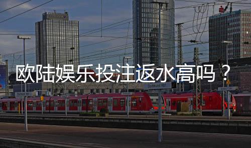 欧陆娱乐投注返水高吗？资深玩家揭秘返水比例与实战技巧