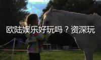 欧陆娱乐好玩吗？资深玩家带你揭秘真实体验与赢钱技巧