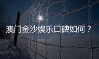 澳门金沙娱乐口碑如何？玩家真实评价与体验分享