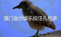 澳门金沙娱乐投注礼包多吗？揭秘新手必领的隐藏福利与高返水技巧