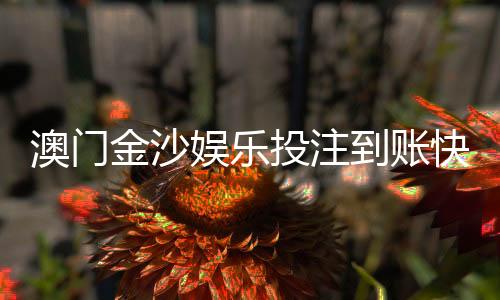 澳门金沙娱乐投注到账快吗?实测3分钟极速到账攻略分享