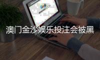 澳门金沙娱乐投注会被黑吗？揭秘平台安全性与防骗技巧