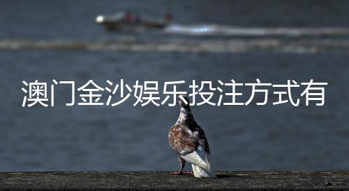澳门金沙娱乐投注方式有哪些？详解主流玩法与技巧攻略