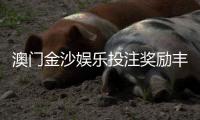 澳门金沙娱乐投注奖励丰厚吗？深度解析高额返水与独家彩金活动