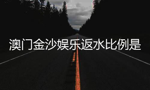 澳门金沙娱乐返水比例是多少?揭秘高额返水优惠与实战攻略
