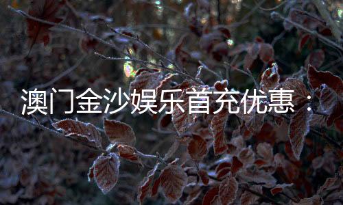 澳门金沙娱乐首充优惠:新会员专享高额返利与独家礼包