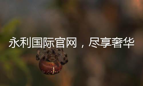 永利国际官网,尽享奢华娱乐体验