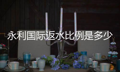 永利国际返水比例是多少:详细了解返水政策