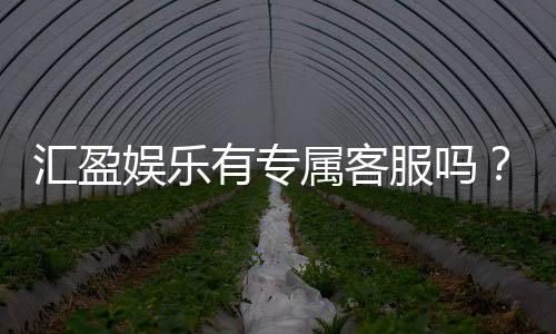 汇盈娱乐有专属客服吗?为您解答VIP服务与联系渠道