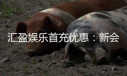 汇盈娱乐首充优惠：新会员专享高额返利礼遇