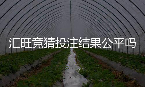 汇旺竞猜投注结果公平吗?深度解析平台公正性与玩家实测反馈