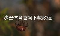 沙巴体育官网下载教程：官方最新版安卓苹果安装与注册全攻略