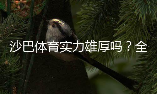 沙巴体育实力雄厚吗?全面评测:牌照、安全、玩法与用户口碑解析