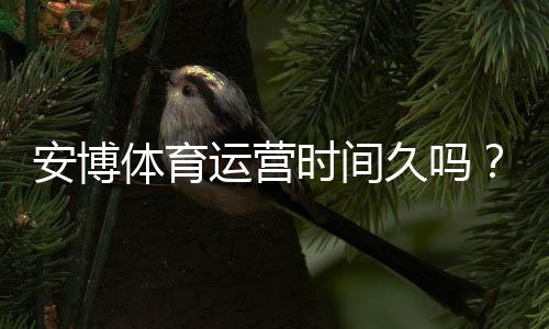 安博体育运营时间久吗?成立年限、平台信誉与安全性全面解析