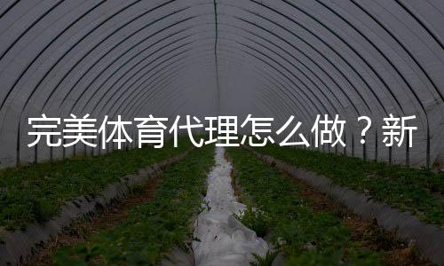 完美体育代理怎么做？新手从注册到运营的全流程与盈利技巧详解