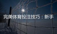 完美体育投注技巧：新手必学的实战策略、资金管理与风险控制