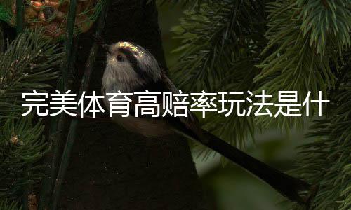 完美体育高赔率玩法是什么?新手入门、投注技巧与风险控制全攻略