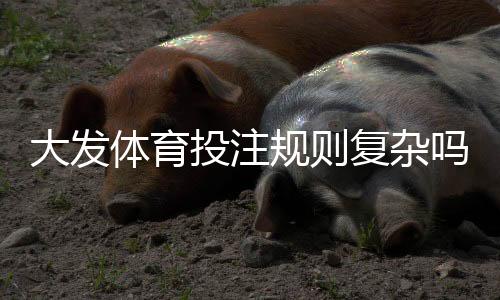 大发体育投注规则复杂吗？新手一分钟看懂规则与常见玩法