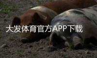 大发体育官方APP下载教程：最新版安卓苹果一键安装、注册与安全指南
