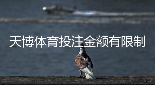 天博体育投注金额有限制吗?充值、单注与提现额度全解析