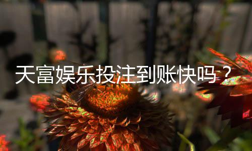 天富娱乐投注到账快吗?实测3分钟极速到账体验分享