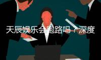 天辰娱乐会跑路吗？深度解析平台稳定性与玩家资金安全