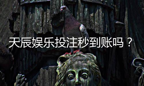 天辰娱乐投注秒到账吗?真实提现速度及用户体验揭秘