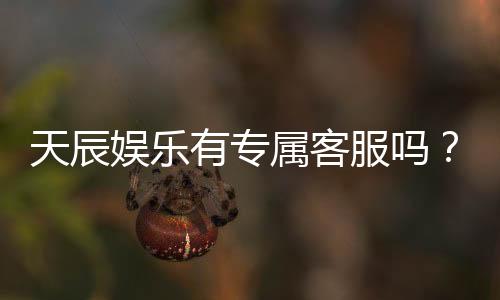 天辰娱乐有专属客服吗?为您揭秘VIP一对一服务体验