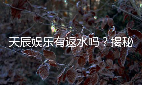 天辰娱乐有返水吗?揭秘返水规则与高额回馈详情