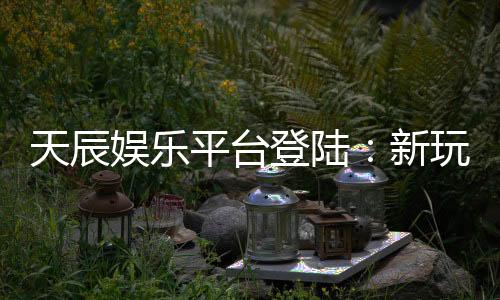 天辰娱乐平台登陆:新玩家如何安全快速上手指南