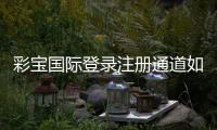 彩宝国际登录注册通道如何快速入门？