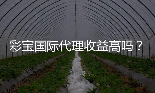 彩宝国际代理收益高吗?探究实情