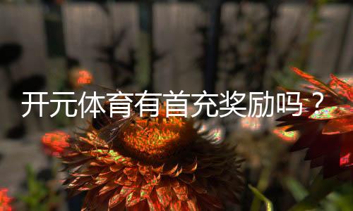 开元体育有首充奖励吗？新人注册充值福利大揭秘