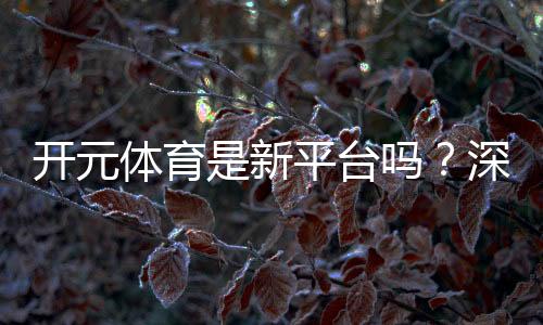 开元体育是新平台吗?深度解析其背景与游戏体验