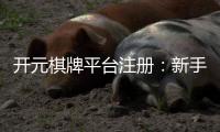 开元棋牌平台注册：新手必看的安全注册流程与游戏攻略