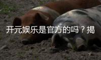 开元娱乐是官方的吗？揭秘平台背景与安全认证详情